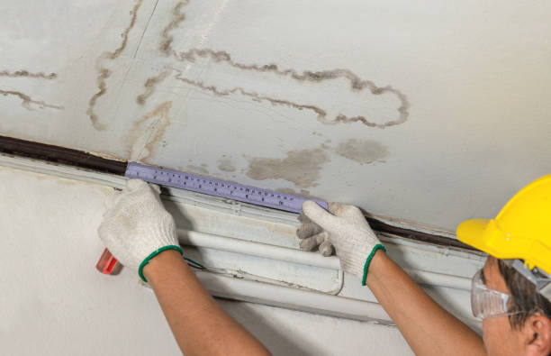 Reliable Water Damage contractor in South Bound Brook, NJ by Water Damage Irwin